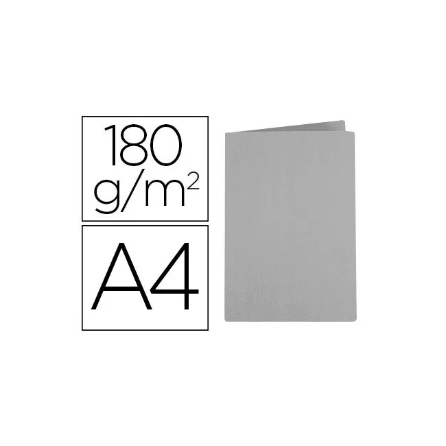 SUBCARPETA LIDERPAPEL A4 GRIS INTENSO 180G/M2