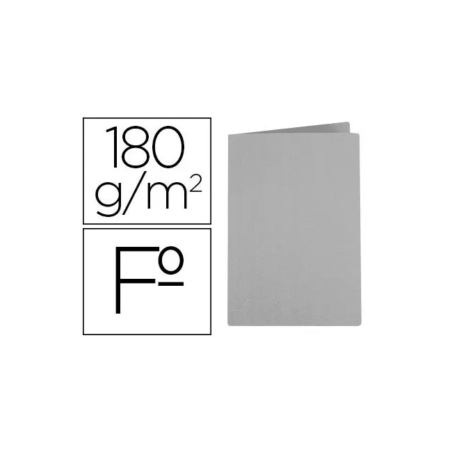 SUBCARPETA LIDERPAPEL FOLIO GRIS INTENSO 180G/M2