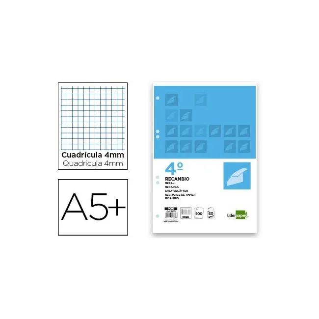 RECAMBIO LIDERPAPEL CUARTO 100 HOJAS 60G/M2 CUADRO 4MM CON MARGEN 6...
