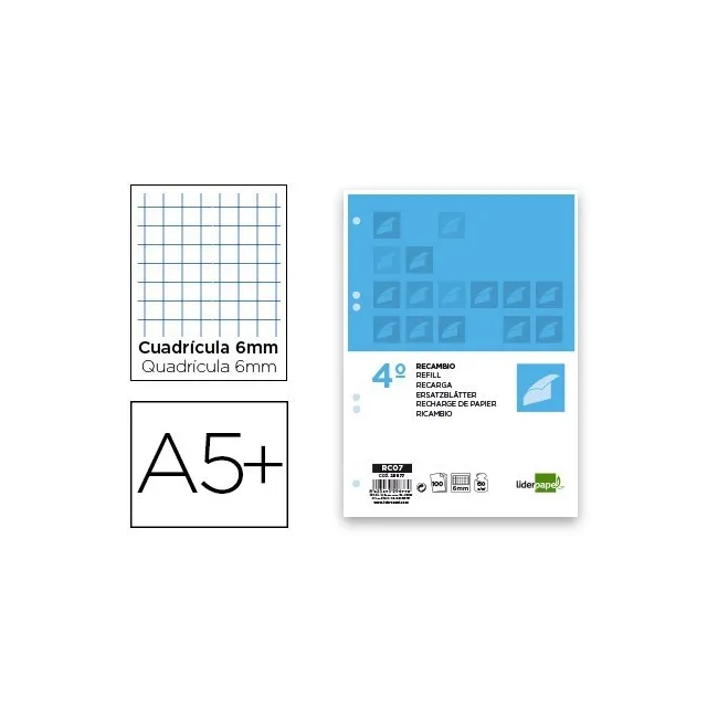 RECAMBIO LIDERPAPEL CUARTO 100 HOJAS 60G/M2 CUADRO 6MM CON MARGEN 6...