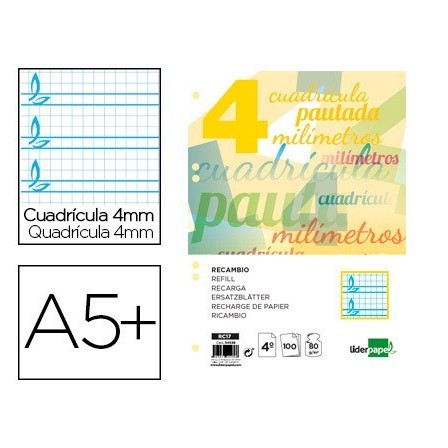 RECAMBIO LIDERPAPEL CUARTO PAUTAGUIA 100 HOJAS 75 G CUADRICULADO PA...