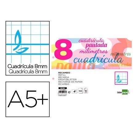 RECAMBIO LIDERPAPEL CUARTO PAUTAGUIA 100 HOJAS 70 G CUADRICULADO PA...