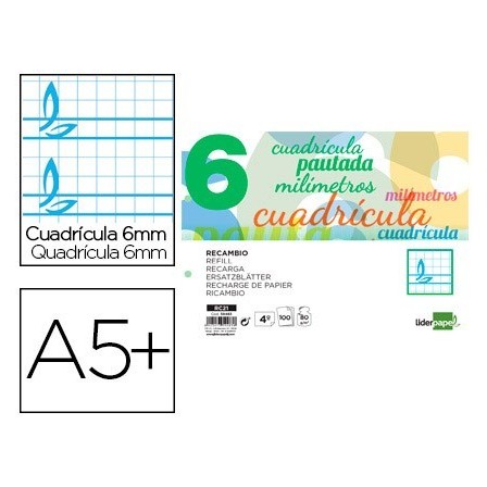 RECAMBIO LIDERPAPEL CUARTO PAUTAGUIA 100 HOJAS 70 G CUADRICULADO PA...