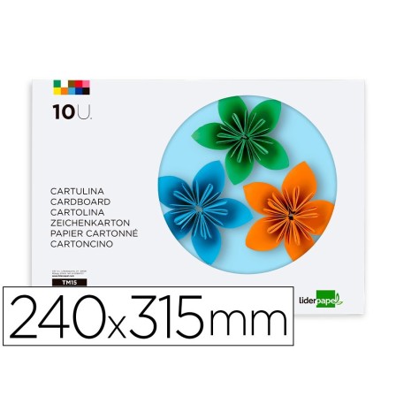 BLOC TRABAJOS MANUALES LIDERPAPEL CARTULINA 240X315MM 10 HOJAS 5 CO...
