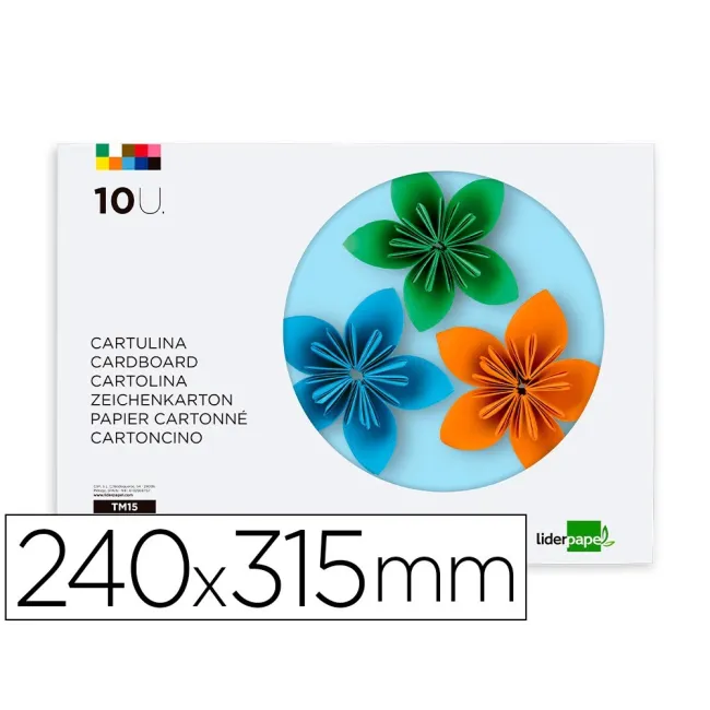 BLOC TRABAJOS MANUALES LIDERPAPEL CARTULINA 240X315MM 10 HOJAS 5 CO...