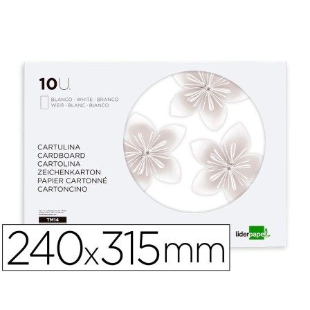 BLOC TRABAJOS MANUALES LIDERPAPEL CARTULINA 240X315MM 10 HOJAS COLO...