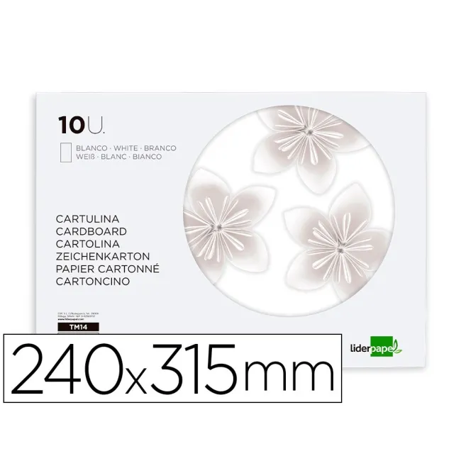 BLOC TRABAJOS MANUALES LIDERPAPEL CARTULINA 240X315MM 10 HOJAS COLO...