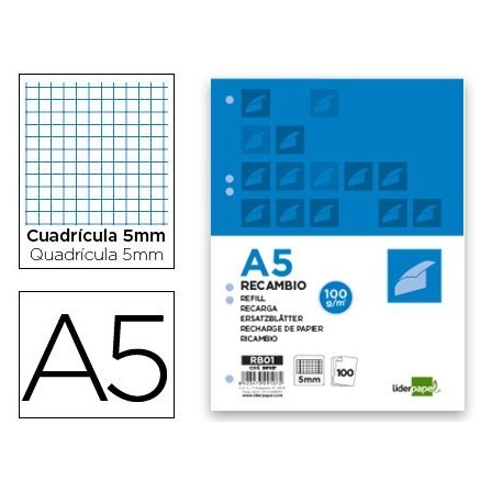 RECAMBIO LIDERPAPEL A5 100 HOJAS 100G/M2 CUADRO 5MM CON MARGEN 6 TA...