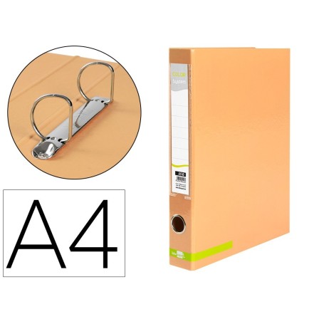CARPETA DE 2 ANILLAS 25 MM MIXTAS LIDERPAPEL A4 FORRADO COLOR SYSTE...