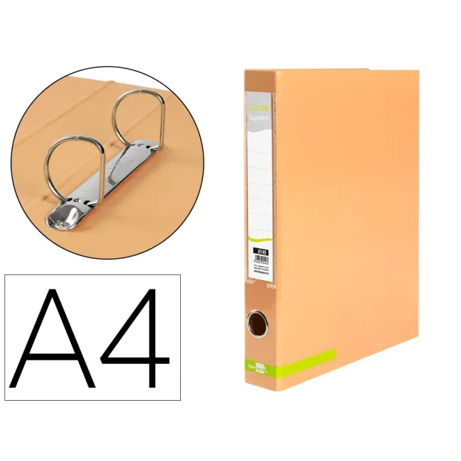 CARPETA DE 2 ANILLAS 25 MM MIXTAS LIDERPAPEL A4 FORRADO COLOR SYSTE...
