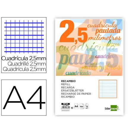 RECAMBIO LIDERPAPEL FOLIO PAUTAGUIA 100 HOJAS 75 G CUADRICULADO PAU...