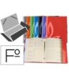 CARPETA LIDERPAPEL GOMAS CARTON FORRADO CLASIFICADORA FOLIO 7 COLOR...