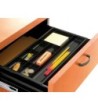 BANDEJA ORGANIZADORA CEP DE CAJONES 344X168X20 MM
