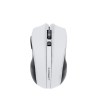 RATON Q-CONNECT OPTICO INALAMBRICO 1000 DPI RECEPTOR USB 2,4 GHZ BL...