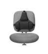 RESPALDO ERGONOMICO PROFESIONAL FELLOWES