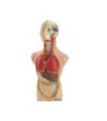 JUEGO MINILAND ANATOMIA HUMANA 11 PIEZAS 50 CM