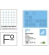 RECAMBIO LIDERPAPEL FOLIO 100 H 4TF-08 CUADRO 8 MM 4 TALADROS CON M...