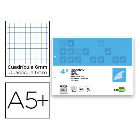 RECAMBIO LIDERPAPEL CUARTO APAISADO 100 H 2TCA-07 CUADRO 6 MM 2 TAL...
