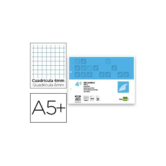 RECAMBIO LIDERPAPEL CUARTO APAISADO 100 H 2TCA-07 CUADRO 6 MM 2 TAL...