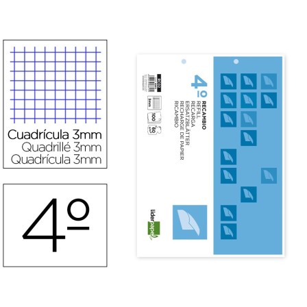 RECAMBIO LIDERPAPEL CUARTO APAISADO 100 H 2TCA-06 CUADRO 3 MM 2 TAL...