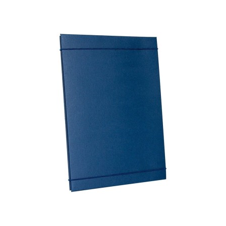 CARPETA PROYECTOS LIDERPAPEL EXTENSIBLE GOFRADA FOLIO