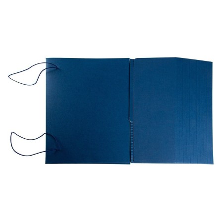 CARPETA PROYECTOS LIDERPAPEL EXTENSIBLE GOFRADA FOLIO