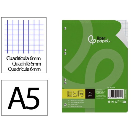 RECAMBIO LIDERPAPEL CUARTO 100 HOJAS 75G/M2 CUADRO 6MM CON MARGEN 6...