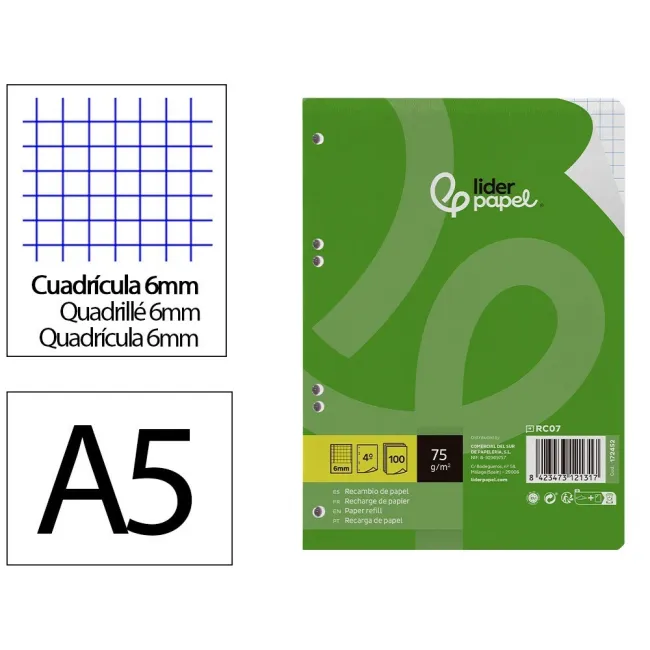 RECAMBIO LIDERPAPEL CUARTO 100 HOJAS 75G/M2 CUADRO 6MM CON MARGEN 6...