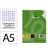 RECAMBIO LIDERPAPEL CUARTO 100 HOJAS 75G/M2 CUADRO 6MM CON MARGEN 6...